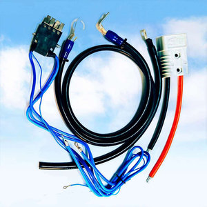 汽车电池测试线（Automobile-Battery-Test-Cables）
